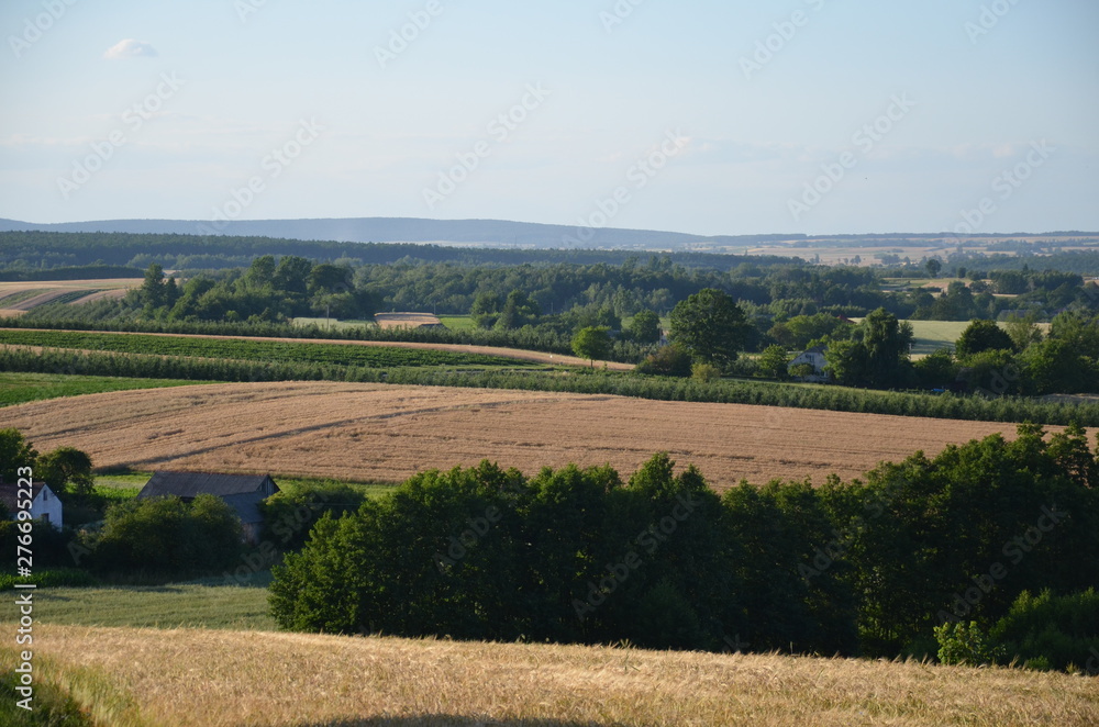 krajobraz, pola, niebo, charakter, gras, rolnictwa, lato, hayfield, zieleń, obszarów wiejskich, countryside, farma, drzew, blękit, kraj, drzew, górka, chmura, pola, rolnictwa, jary, chmura, kraina, zi krajobraz, pola, niebo, charakter, gras, rolnictwa, lato, hayfield, zieleń, obszarów wiejskich, countryside, farma, drzew, blękit, kraj, drzew, górka, chmura, pola, rolnictwa, jary, chmura, kraina, zi