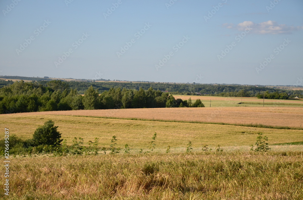 krajobraz, pola, niebo, charakter, gras, rolnictwa, lato, hayfield, zieleń, obszarów wiejskich, countryside, farma, drzew, blękit, kraj, drzew, górka, chmura, pola, rolnictwa, jary, chmura, kraina, zi