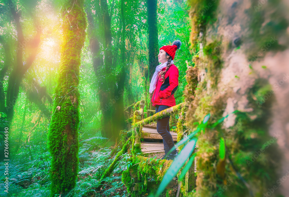 Young tourists stand on a wooden bridge and green moss at Angka nature trail in Doi Inthanon national park, Thailand. Young tourists stand on a wooden bridge and green moss at Angka nature trail in Doi Inthanon national park, Thailand.
