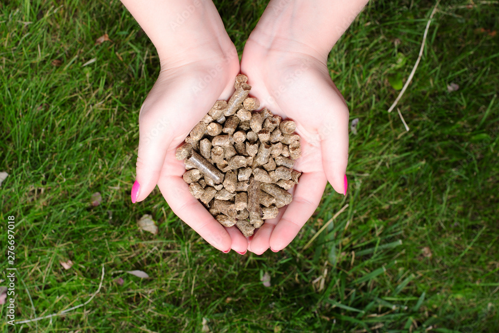 Pellet