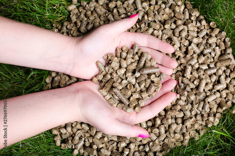 Pellet