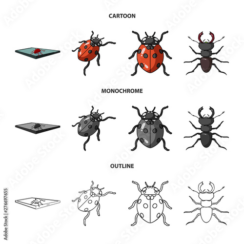 Vector design of insect and beetle sign. Set of insect and halloween vector icon for stock.