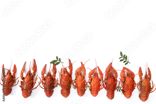Several boiled crawfish isolated on white. top view. Flat lay