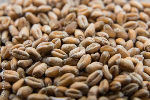 Wheat grain close-up, agricultural background