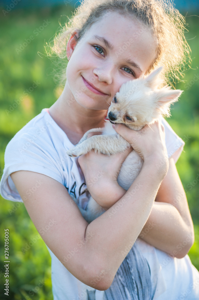 Little girl with a chihuahua puppy. A puppy in the hands of a girl Little girl with a chihuahua puppy. A puppy in the hands of a girl