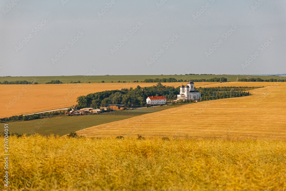 Orthodox Church among the fields of wheat. White Church and outbuildings. Agricultural fields. Horizontally framed shot.