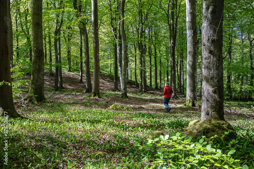woman walking in the forest at Kullaberg, Skåne, Sweden.