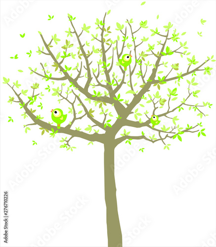 Vector green tree isolated on white.