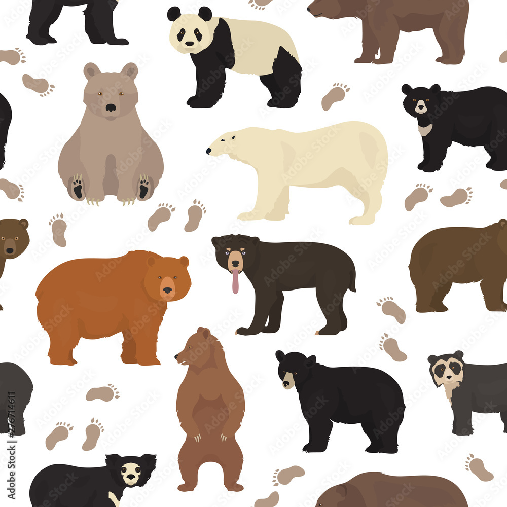 All world bear species in one set. Bears seamless pattern All world bear species in one set. Bears seamless pattern