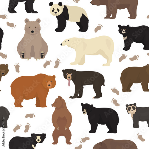 All world bear species in one set. Bears seamless pattern