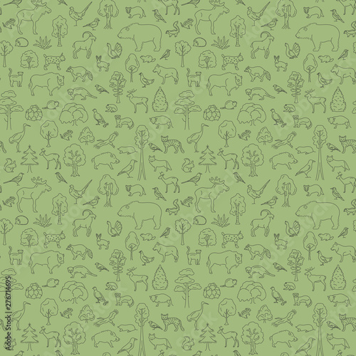 Temperate broadleaf forest and mixed forest biome seamless pattern.Terrestrial ecosystem world map. Simple outline graphic design