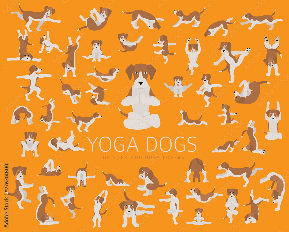 Yoga dogs poses and exercises doing clipart. Funny cartoon poster
