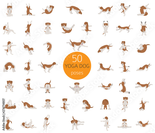 Yoga dogs poses and exercises doing clipart. Funny cartoon poster design