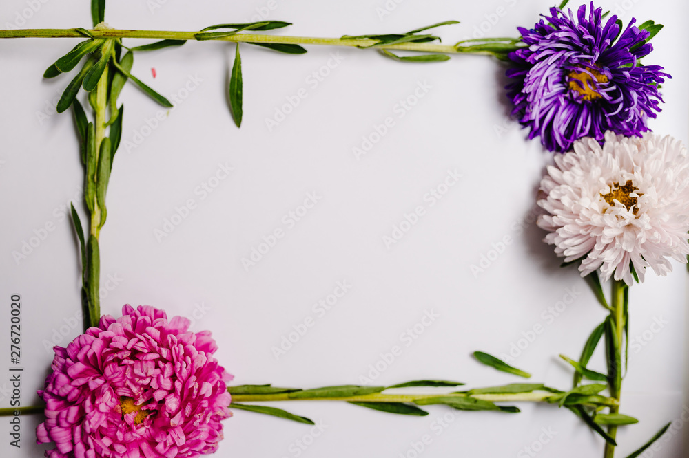 Flowers composition. Violet and purple flowers on white background. Spring, easter concept. Summer delicate blooming leaves and blossoming  flowers, pastel and soft bouquet floral card.