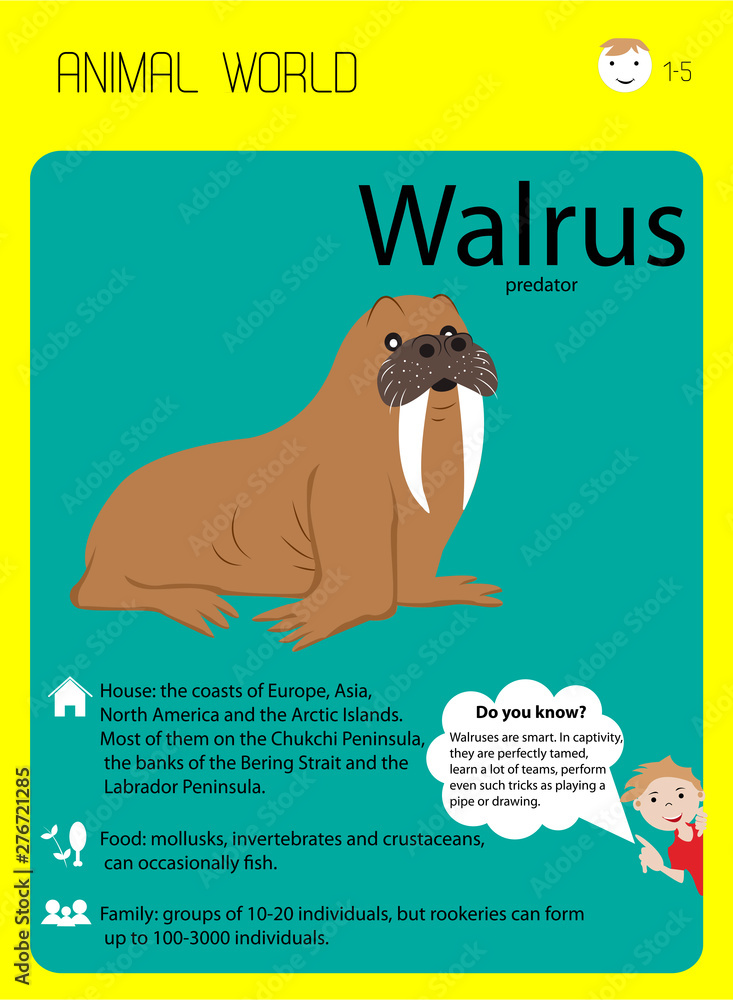 walrus with fangs. Educational flash cards for children, kindergarten