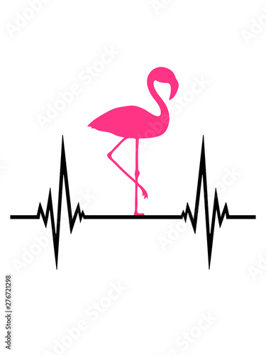 flamingo puls herzschlag frequenz vogel pink urlaub strand meer sommer sonne design cool photo