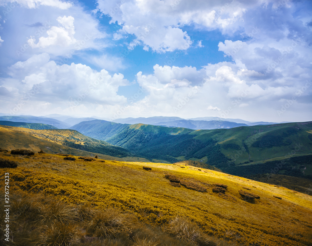 green mountain meadow with mountain range in the background.at Carpathian mountains