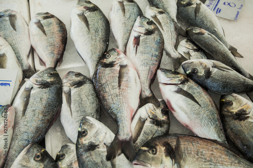 Raw dorada seafood on ice at fish market Raw dorada seafood on ice at fish market