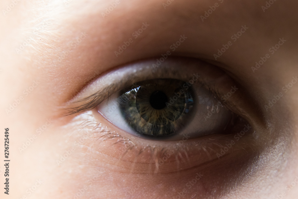 Obraz premium Macro image of human eye