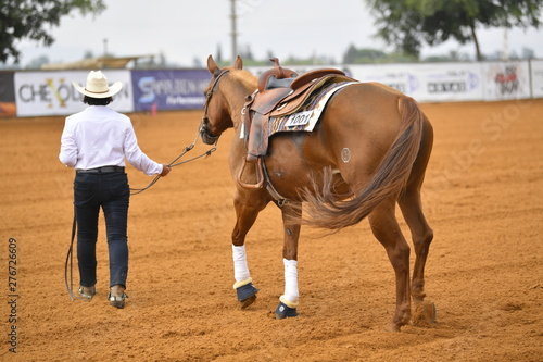 Rider leads his horse on a sandy field after the end of the competition