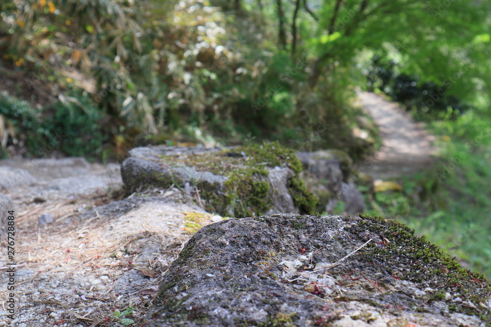 旧中山道　馬籠宿から妻籠宿へ続く道