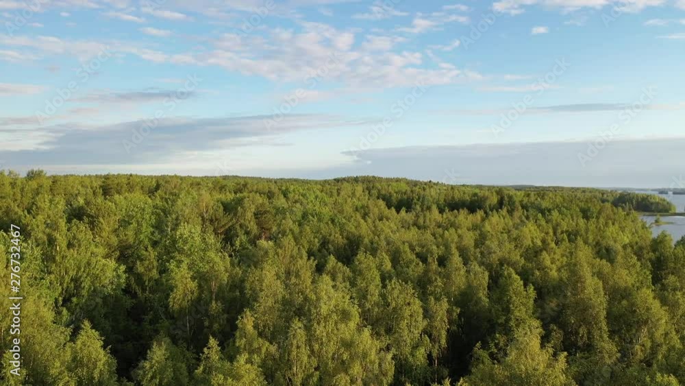 landscape with trees and blue sky landscape with trees and blue sky