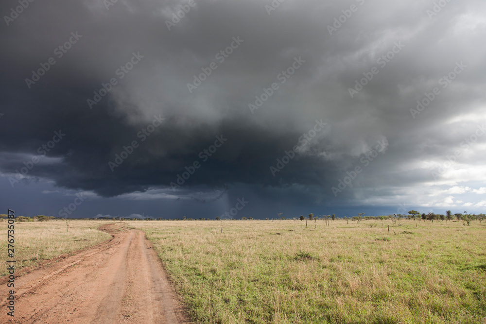 Rain in Serengeti National Park, Tanzania
