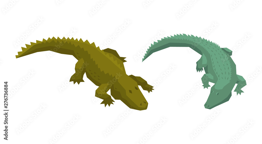 Naklejka premium Crocodile vector cartoon crocodilian character of green alligator carnivore illustration animalistic set of dangerous amphibian predator with jaws isolated on white background