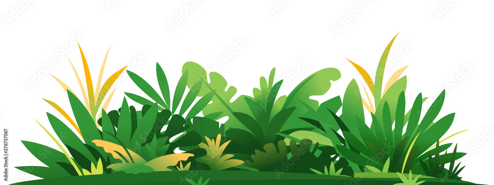 Decorative composition of jungle plants on ground, group of green plants on the sunny lawn isolated, dense vegetation of the jungle - obrazy, fototapety, plakaty 
