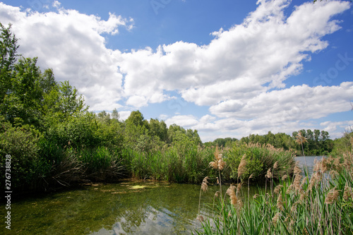 Episy swamp nature reserve in the french Gatinais regional nature park photo