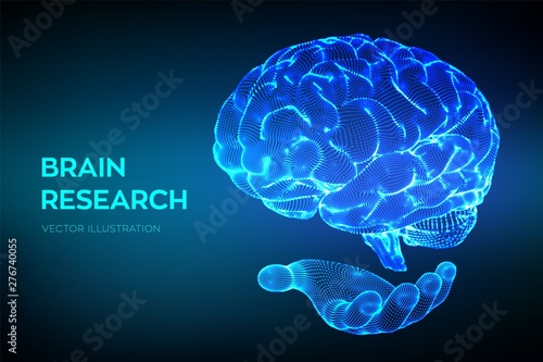 Brain. Human brain research. 3D Science and Technology concept. Neural network. IQ testing, artificial intelligence virtual emulation science technology. Brainstorm think idea. Vector illustration.