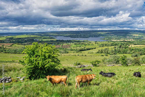 Ireland,view on Cavan Burren Park,Unesco geopark,Irish