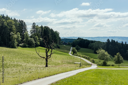 Lonely walk home, Zürich, Switzerland