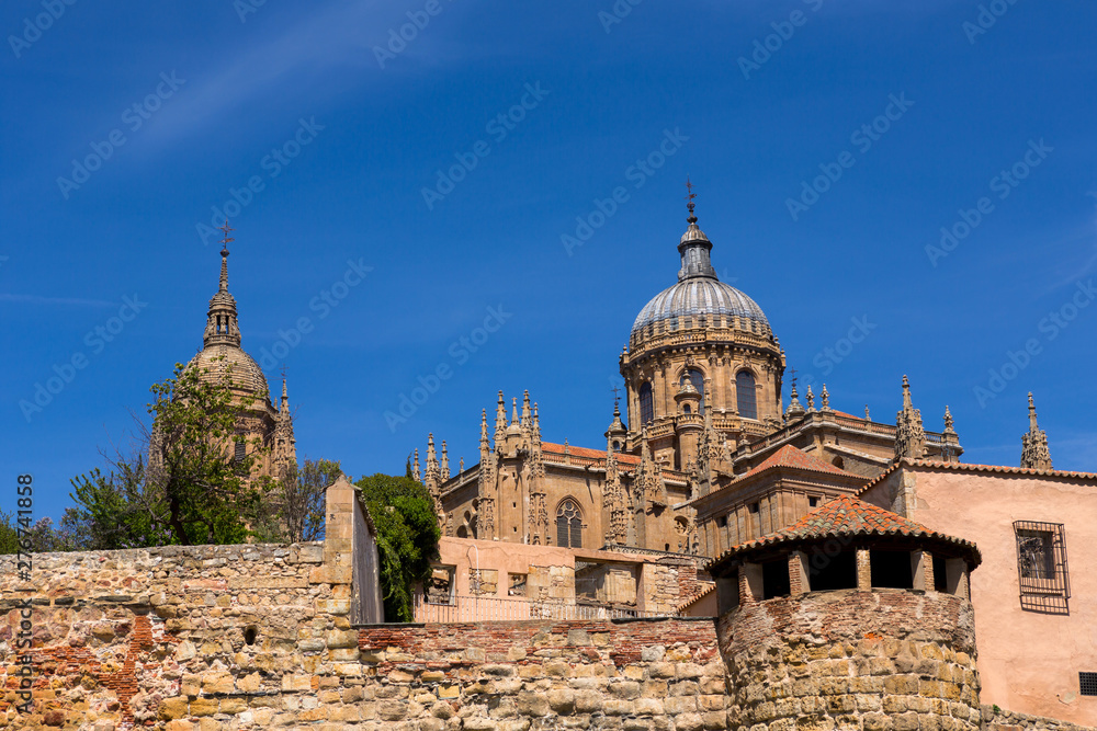 Cathedral of Salamanca in Spain