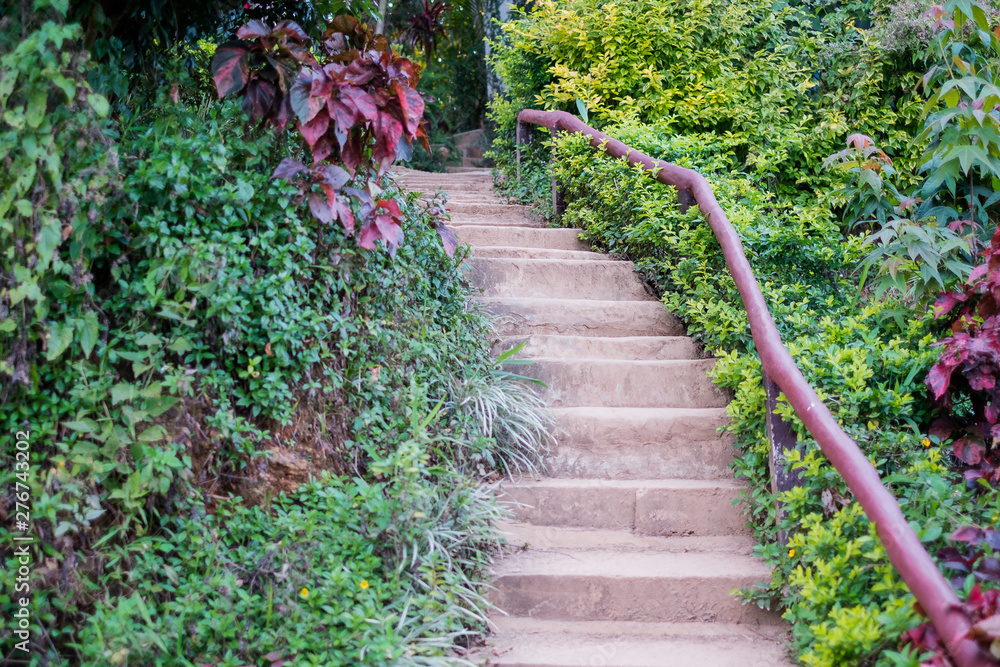 Stone stairs among green foliage leading across scenic tropical woods Stone stairs among green foliage leading across scenic tropical woods
