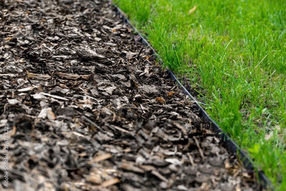 Fototapeta premium lawn edge