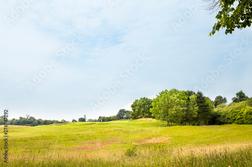 Expanded view of green grass meadow and trees