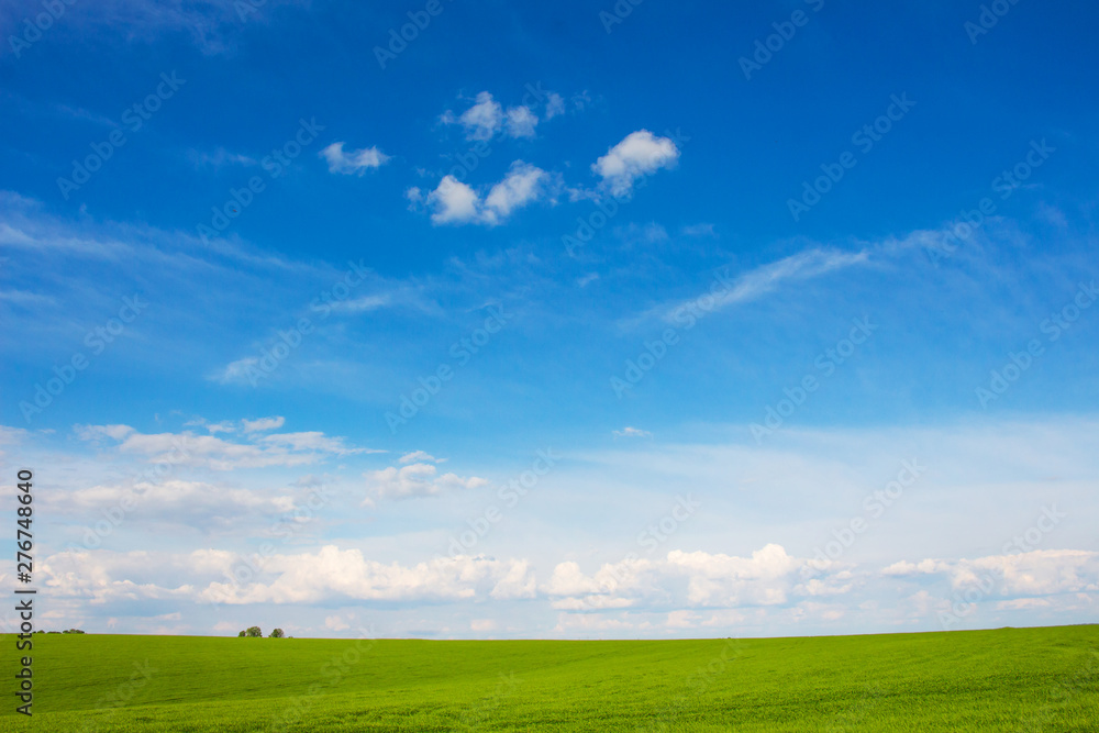 High blue sky with white clouds above the green meadow_
