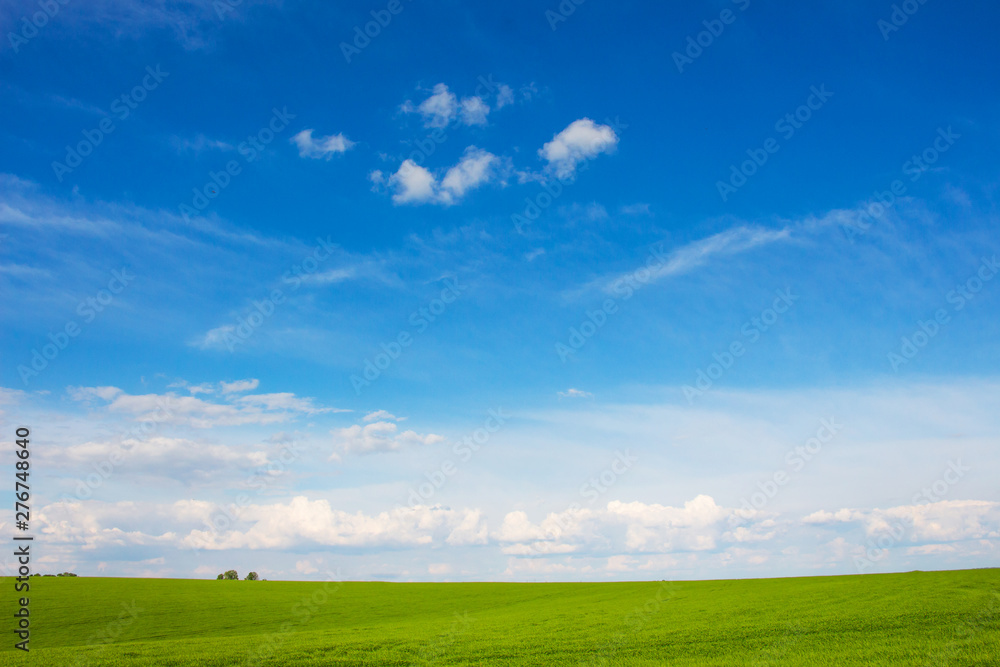 High blue sky with white clouds above the green meadow_ High blue sky with white clouds above the green meadow_
