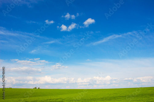 High blue sky with white clouds above the green meadow_