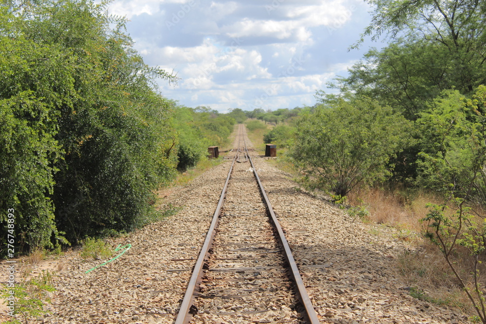 Fototapeta premium Trilho