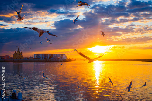 Sunset in the city. sunset ...