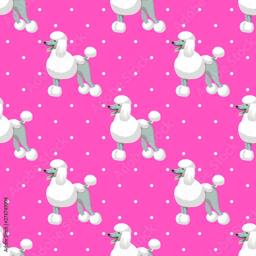 Standart poodle white seamless pattern