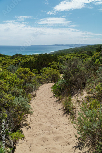 Landschaft auf dem Great Ocean Walk am Cape Otway in Victoria Australien