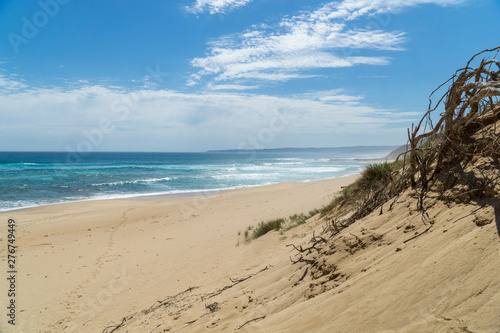 Fototapeta Naklejka Na Ścianę i Meble -  Landschaft auf dem Great Ocean Walk am Cape Otway in Victoria Australien