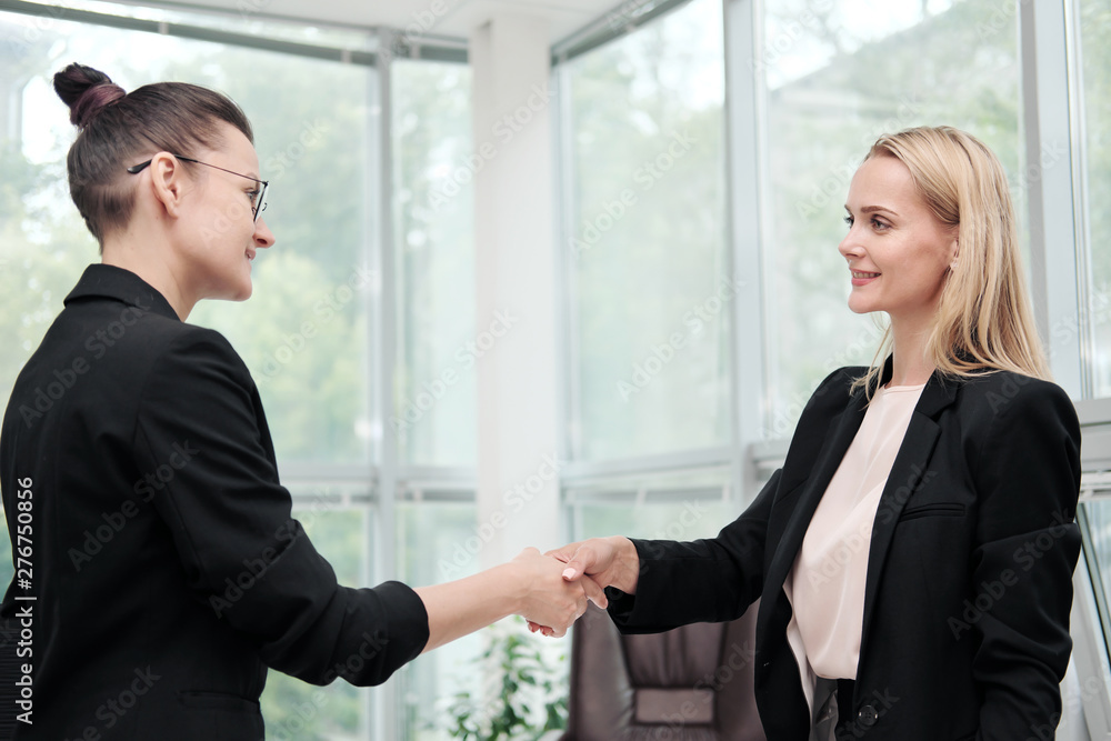 Two beautiful young women in business suits shake hands and smile. Hiring a job. Signing the agreement. Women at work. Two beautiful young women in business suits shake hands and smile. Hiring a job. Signing the agreement. Women at work.