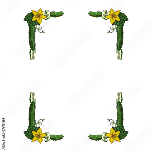 Rectangular frame made of cucumbers, cucumber slices, leaves and flowers. Decorative element with fresh vegetables on white background for your design
