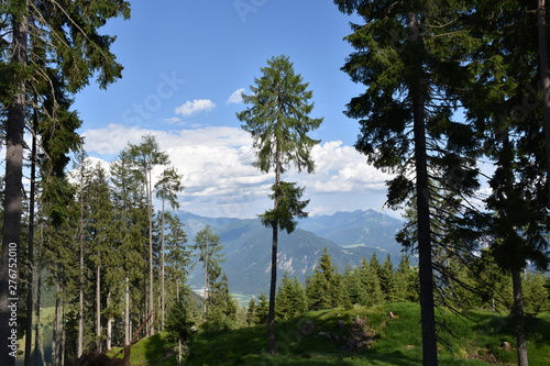 Emberger Alm, Alm, Kärnten, Greifenburg, Spittal, Drau, Spittal an der Drau, Oberkärnten, Baumgrenze, Weißensee, Bergstraße, Kurve, Kehre, Wald, Bergwald, Drautal, Wolken, Sommer, Baum, Gailtaler Alpe photo