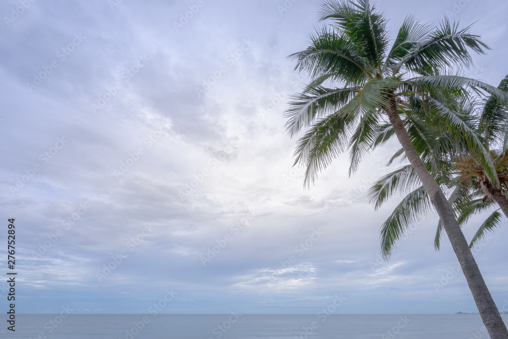 Tropical background of big palm tree with sea and blue cloudy sky, summer day.