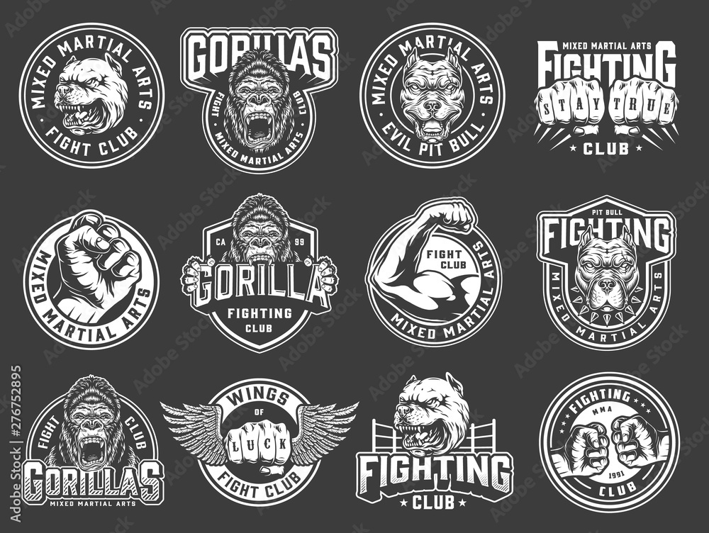 Fototapeta premium Vintage mixed martial arts club emblems